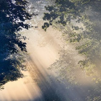 Bild zu:Das Licht und die Natur 