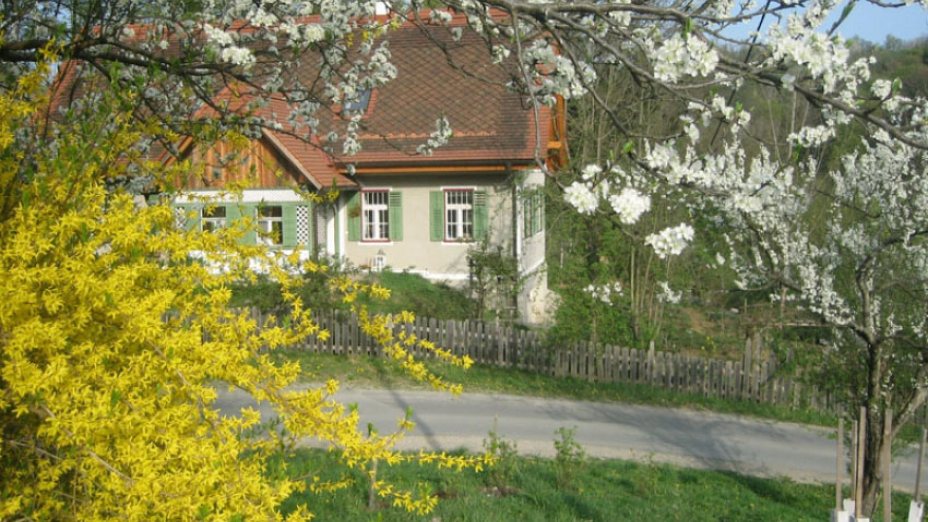 Neus Leben  voller Energie am alten Hof